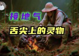 山洪冲下不明物体，咬一口活“四万岁”