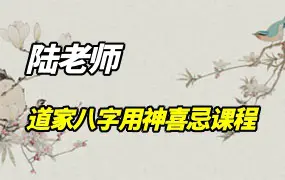 陆老师 道家八字21集  第1张