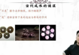 宋宜霖易林居士家居环境堪舆教学27集视频课