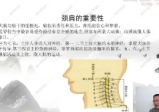 李新波棒敲击三通术线上课