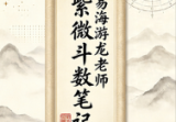 易海游龙老师整理紫微斗数笔记.pdf