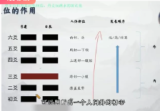 知易而行信笛六爻专业课(完整版)40集