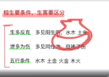 萤火虫八字象法20集