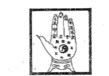 邓汉松-手掐秘诀.pdf