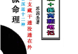 苏国圣-盲派宫压运《盲派命理2021年高级班+提高班笔记》.pdf.