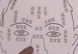 翁向宏-《面相学》课程12讲全套