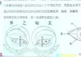 法觉老师《道医天师心脑血管特效疗法》第1期26集