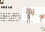 董洪坦药证经方培训班(第一期)视频课程等多个文件