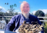 王君老师解读《道德经》全集太虚真人说《道德经》82集