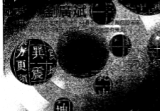 刘广斌-刘氏神数.pdf