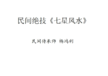 杨鸿利-民间峦头绝技、风水绝技《七星风水》时空风水《九玄风水》《六壬神盘》