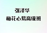 张泽华 梅花心易高级班（录音+讲义）