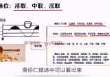 古训堂陈雷伤寒脉法讲解