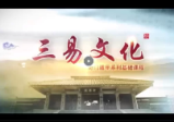 童坤元《大白话奇门遁甲》（20节视频）