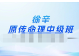 徐辛《原传命理中级班》7集视频，约14小时