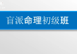 盲派山阳老师全套课程20集+课件