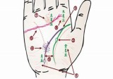 赵理明-掌纹诊病学视频3集+资料