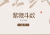 武斌紫微斗数入门到上手23集