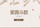 武斌紫微斗数入门到上手23集