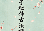 水河子秘传古法梅花-系统一体班.