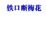 易海游龙铁口断梅花课堂笔记.pdf477页