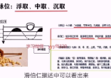 古训堂陈雷伤寒脉法讲解