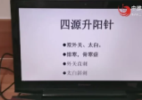 道医天师府正一针法