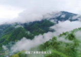 [认识身边的中草药]乡间无杂草，认识全是宝!每天一味中草药，成就中医大梦想!