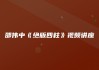 邵伟中《绝版四柱》32集录像