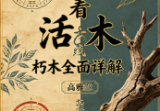 高雅兰《八字看活木朽木全面详解》132页.pdf