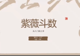 武斌紫微斗数入门到上手23集