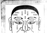 飞云山人《中国秘传面相术》，简体中文版干货多257页电子版