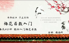 徐炳昕梅花基础  第1张