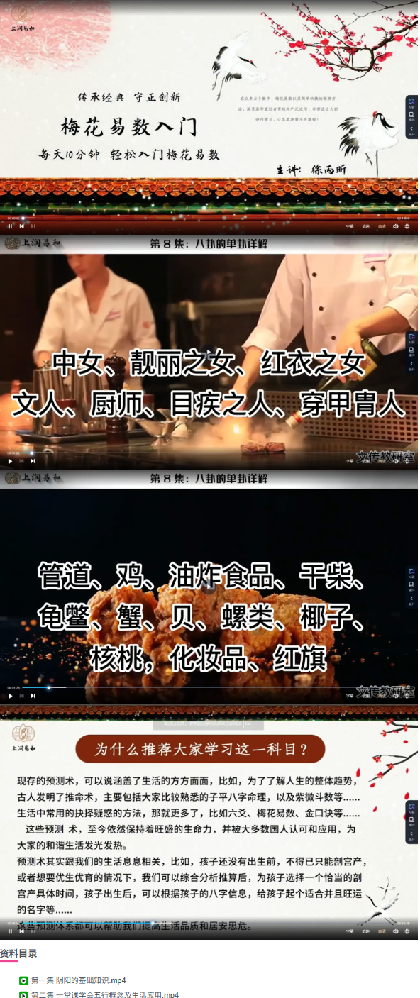 徐炳昕梅花基础  第2张