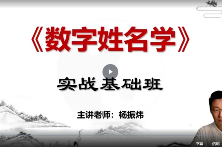 杨振炜《姓名学实战营》20集视频  第1张