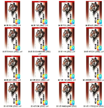 寅火虫·从基础到实战八字资料16册大合集  第2张