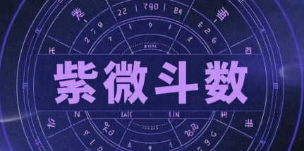 张老师[零基础必学]紫微斗数实战课从0到1读懂人生视频9集，每集1小时  第1张