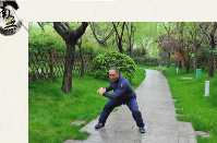 紫言道人-道家南无拳修炼法(含18和26式视频+套图+29式教材) 视频+课件  第1张