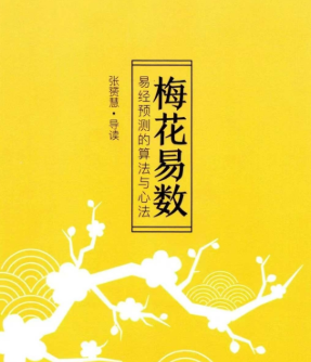 张赟慧·梅花易数导读 第1张 张赟慧·梅花易数导读 第1张