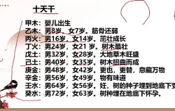 如是禅说梅花易数30集视频 第1张 如是禅说梅花易数30集视频 第1张
