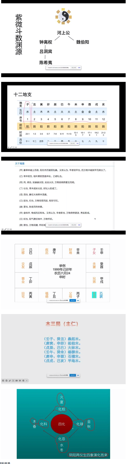 乾元老师《紫微斗数》48集 第2张 乾元老师《紫微斗数》48集 第2张
