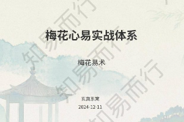 知易而行东篱老师梅花易数1、2、3期共30集视频+课件 第1张 知易而行东篱老师梅花易数1、2、3期共30集视频+课件 第1张