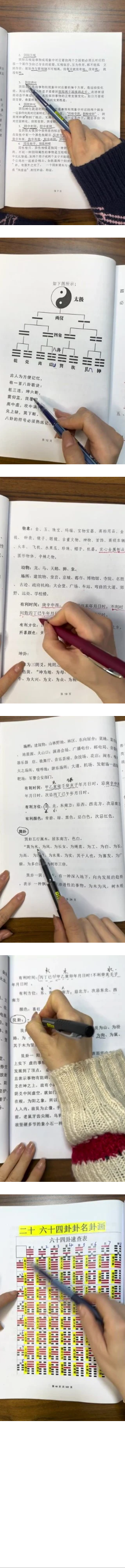 隽宁老师《梅花视频课程》89集 第2张 隽宁老师《梅花视频课程》89集 第2张