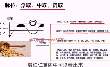古训堂陈雷伤寒脉法讲解 第1张 古训堂陈雷伤寒脉法讲解 第1张