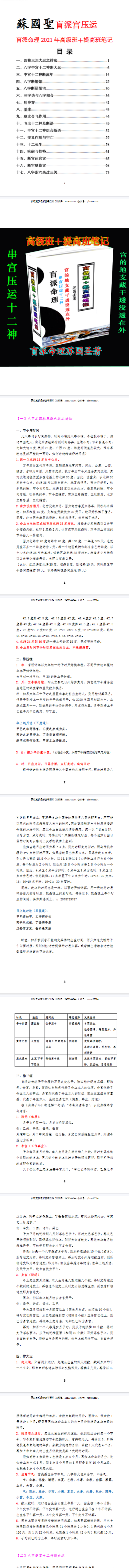 苏国圣-盲派宫压运《盲派命理2021年高级班+提高班笔记》.pdf. 第2张 苏国圣-盲派宫压运《盲派命理2021年高级班+提高班笔记》.pdf. 第2张