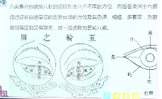 法觉老师《道医天师心脑血管特效疗法》第1期26集  第1张