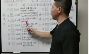 张老师《张老师讲梅花》23集视频