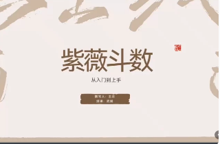 武斌紫微斗数入门到上手23集  第1张