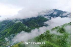 [认识身边的中草药]乡间无杂草，认识全是宝!每天一味中草药，成就中医大梦想!  第1张