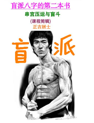 正吉居士《串宫秘籍与盲斗、盲派八字的第二本书》539页.pdf  第2张